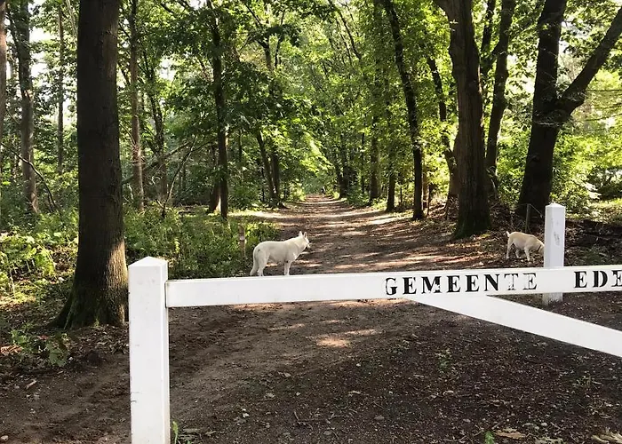 Dom wakacyjny Romantisch T'klomperhuys Lunteren